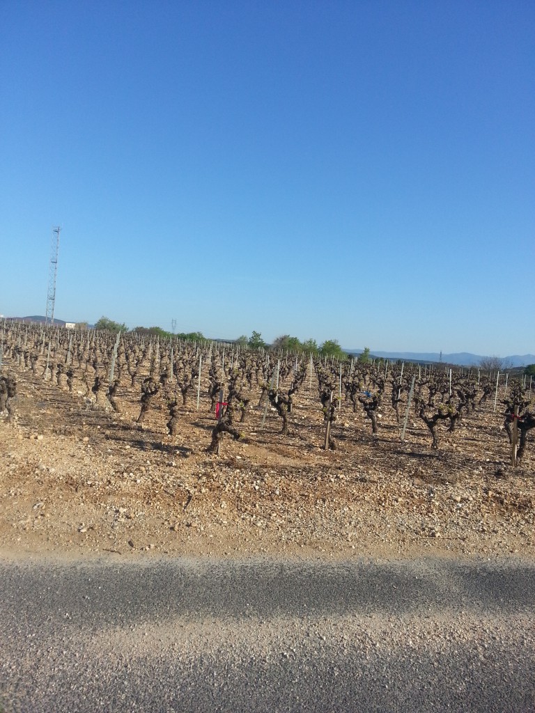 20150412_092528(0)