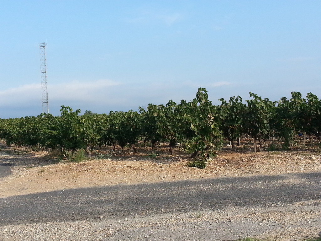 20150911_092659