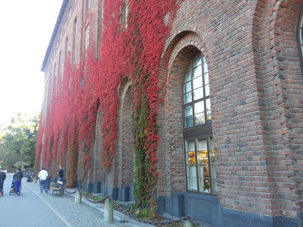 20151012_094458